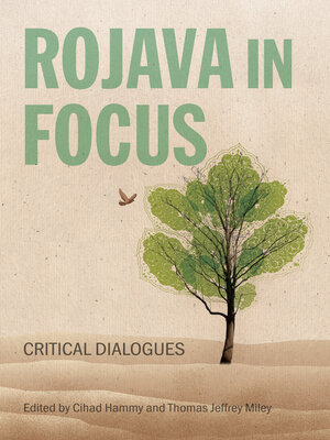 cover image of Rojava in Focus
